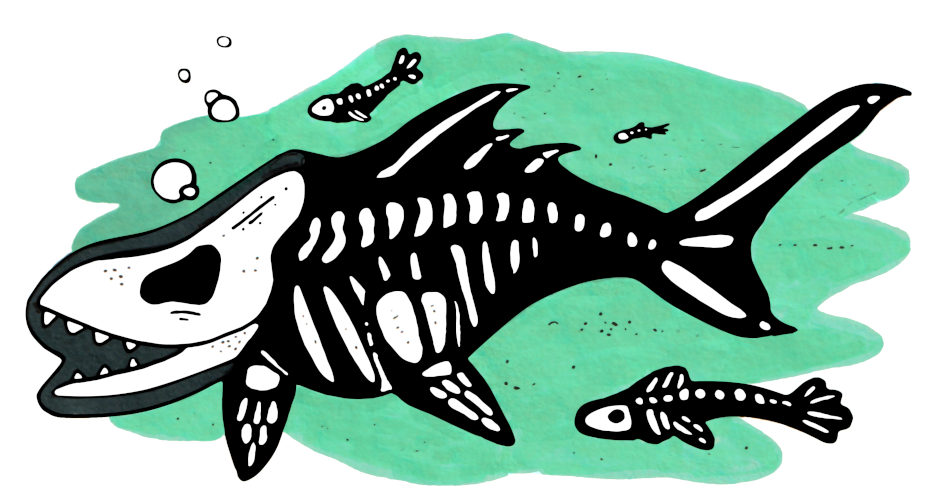 skelletal fish