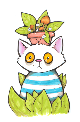 cat with a pot on its head